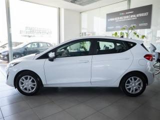 FORD Fiesta usata 4