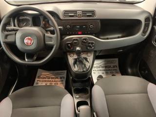 FIAT Panda usata, con Chiusura centralizzata