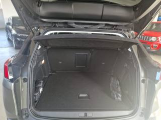 PEUGEOT 3008 usata, con USB