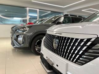 PEUGEOT 2008 usata, con Bracciolo