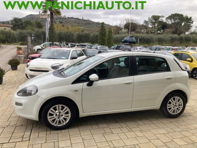 FIAT Punto usata, con Airbag