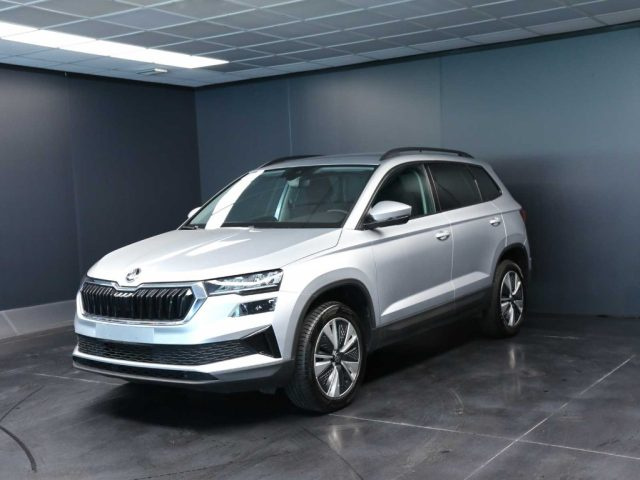 SKODA Karoq usata, con ABS