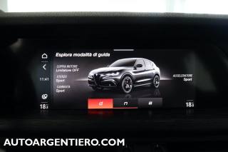 ALFA ROMEO Stelvio usata, con Volante in pelle