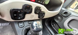 FIAT Panda usata 6