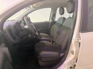 FIAT Panda usata 5