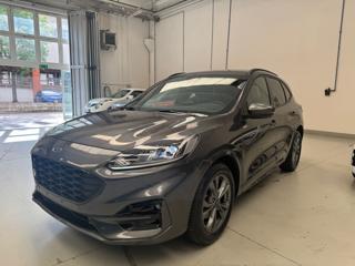 FORD Kuga 2.0 EcoBlue 120 CV aut. 2WD ST-Line