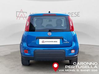 FIAT Panda usata, con Antifurto