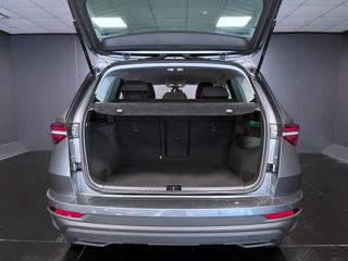 SKODA Karoq usata, con Fendinebbia