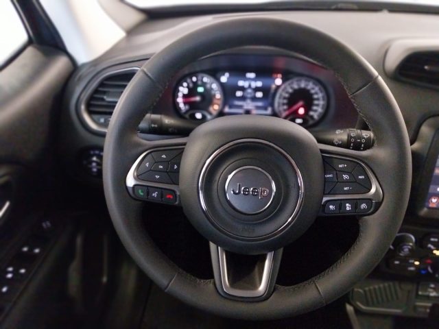 JEEP Renegade usata, con Cerchi in lega