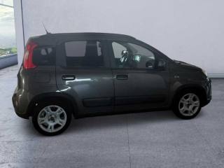 FIAT Panda usata, con Autoradio