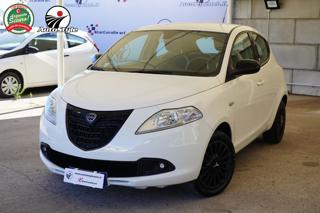 LANCIA Ypsilon 1.2 69 CV 5 porte Elefantino