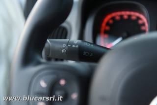 FIAT Panda usata 39