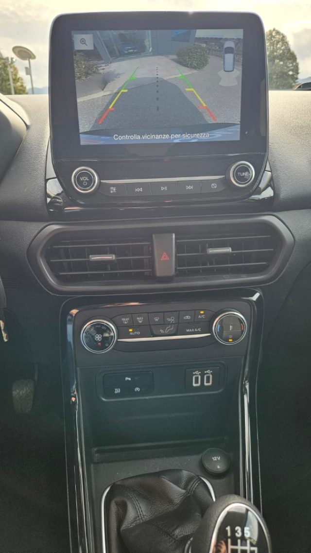 FORD EcoSport usata, con Fendinebbia