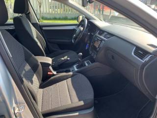 SKODA Octavia usata, con Cruise Control