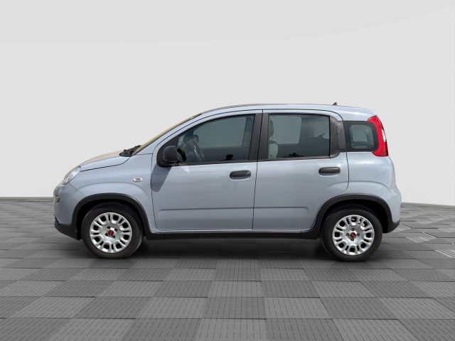 FIAT Panda usata 1