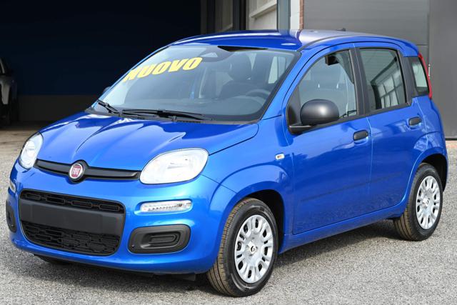 FIAT Panda usata, con Volante multifunzione
