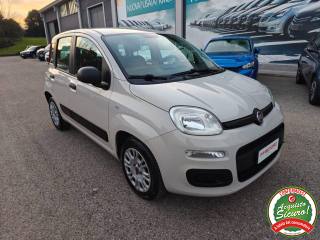 FIAT Panda usata, con Airbag Passeggero