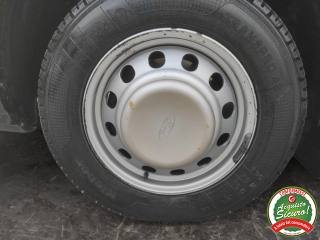 FORD Transit usata, con Bracciolo