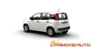 FIAT Panda usata, con Cruise Control