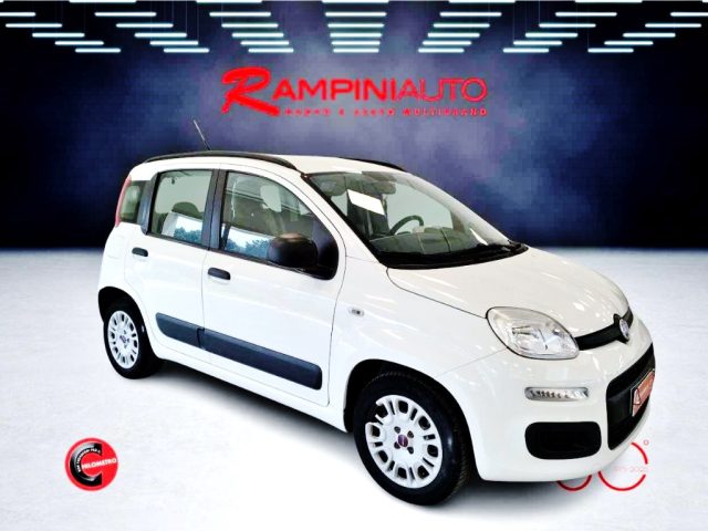 FIAT Panda usata 4