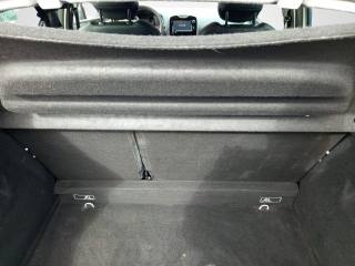 RENAULT Clio usata 19