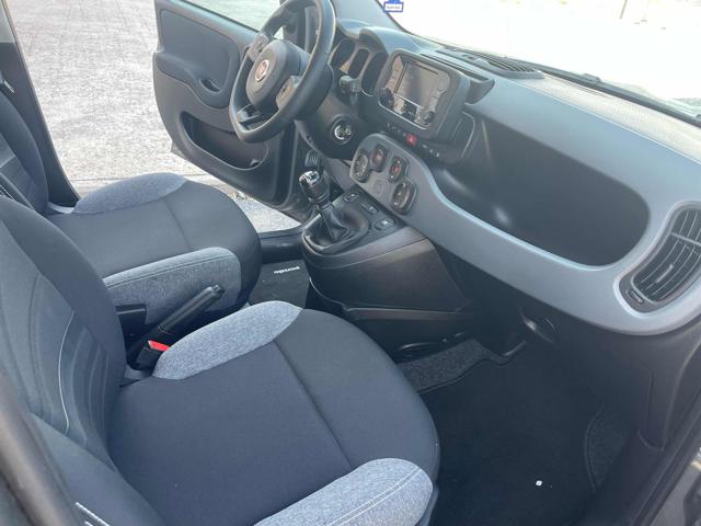 FIAT Panda usata 24