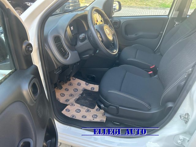 FIAT Panda usata, con Climatizzatore