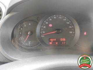 RENAULT Kangoo usata 14