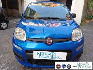 FIAT Panda usata, con Alzacristalli elettrici