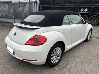 VOLKSWAGEN Maggiolino usata, con Airbag Passeggero