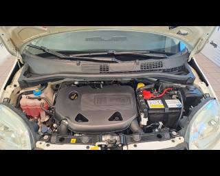 FIAT New Panda usata 22