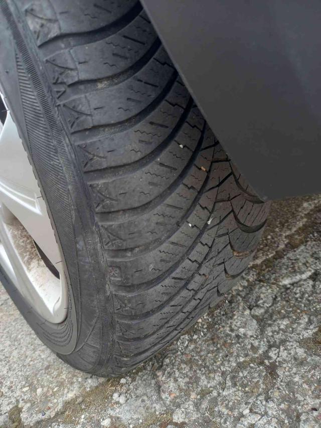 RENAULT Scenic usata 29