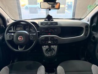FIAT Panda usata, con Volante multifunzione