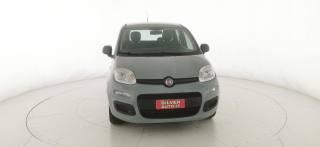 FIAT Panda usata 21
