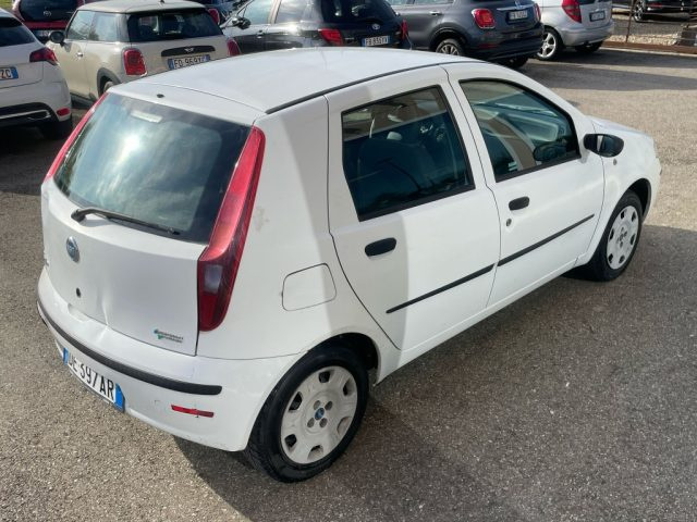FIAT Punto usata 9