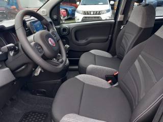 FIAT Panda usata, con Fendinebbia