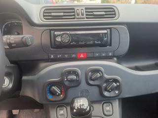 FIAT Panda usata, con Antifurto
