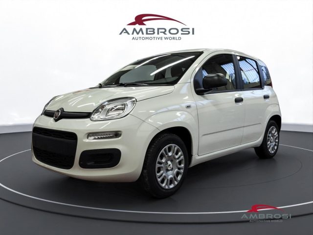 FIAT Panda usata 0