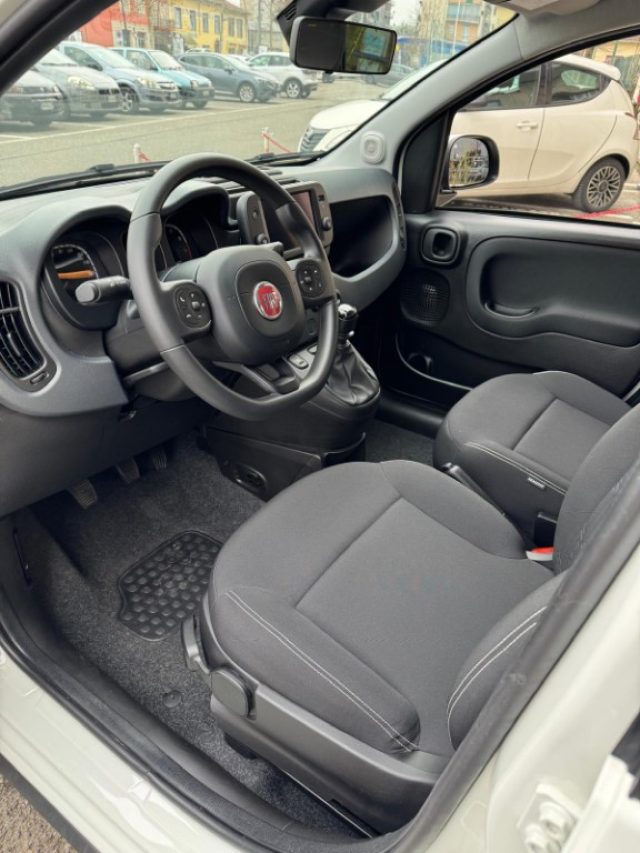 FIAT Panda Cross usata, con Climatizzatore