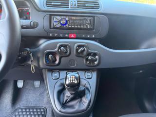 FIAT Panda usata, con Controllo trazione