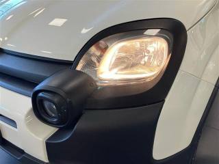 FIAT Panda usata, con Fendinebbia