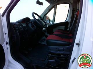 FIAT Ducato usata 8