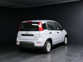FIAT Panda usata, con Alzacristalli elettrici