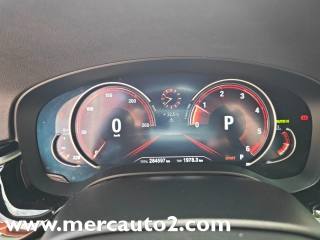 BMW 520 usata, con Immobilizzatore elettronico