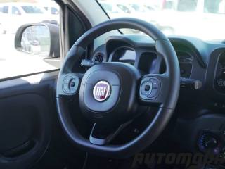 FIAT Panda usata 12