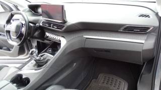 PEUGEOT 5008 usata 88