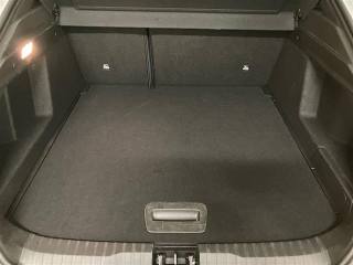 RENAULT Arkana usata 24