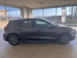 FORD Focus usata, con Servosterzo