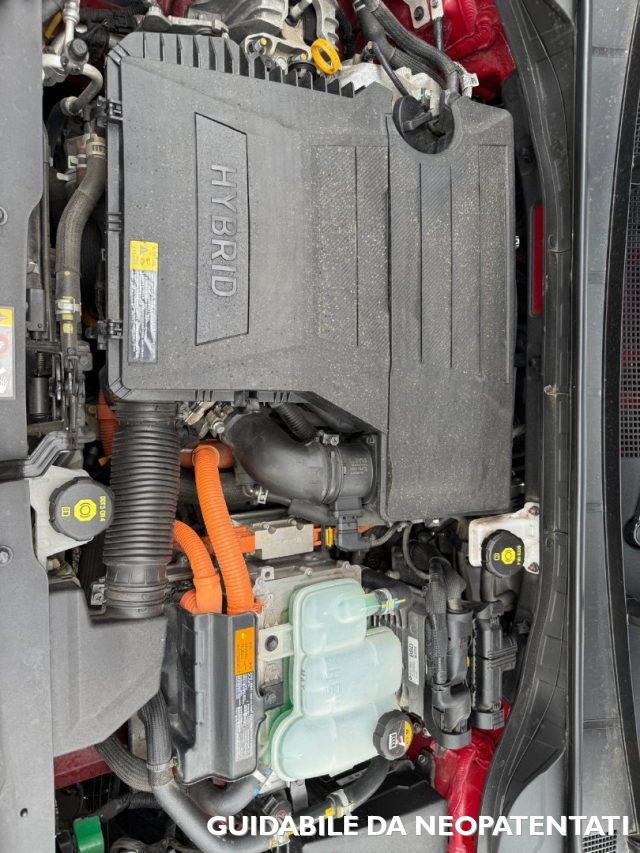 KIA Niro usata, con Fendinebbia