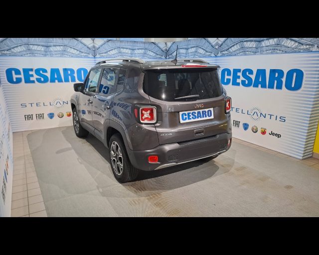 JEEP Renegade usata, con Cruise Control